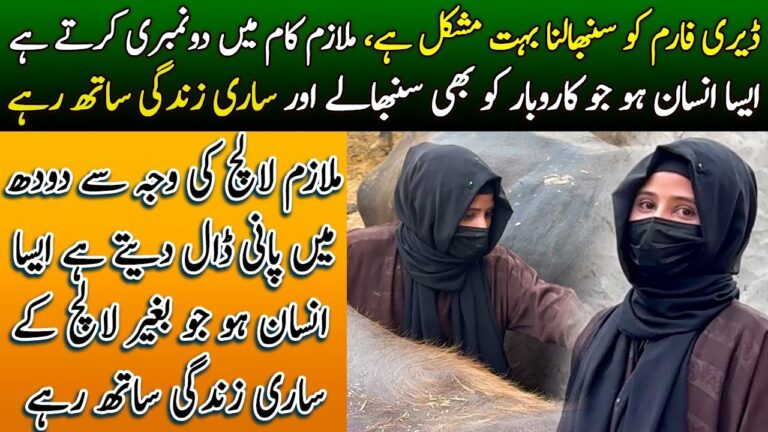 Top 10 Questions to Ask Before Buying Homeowners Insurance